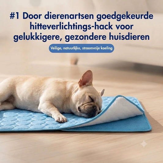 CoolBreath Mat