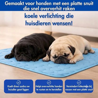 CoolBreath Mat