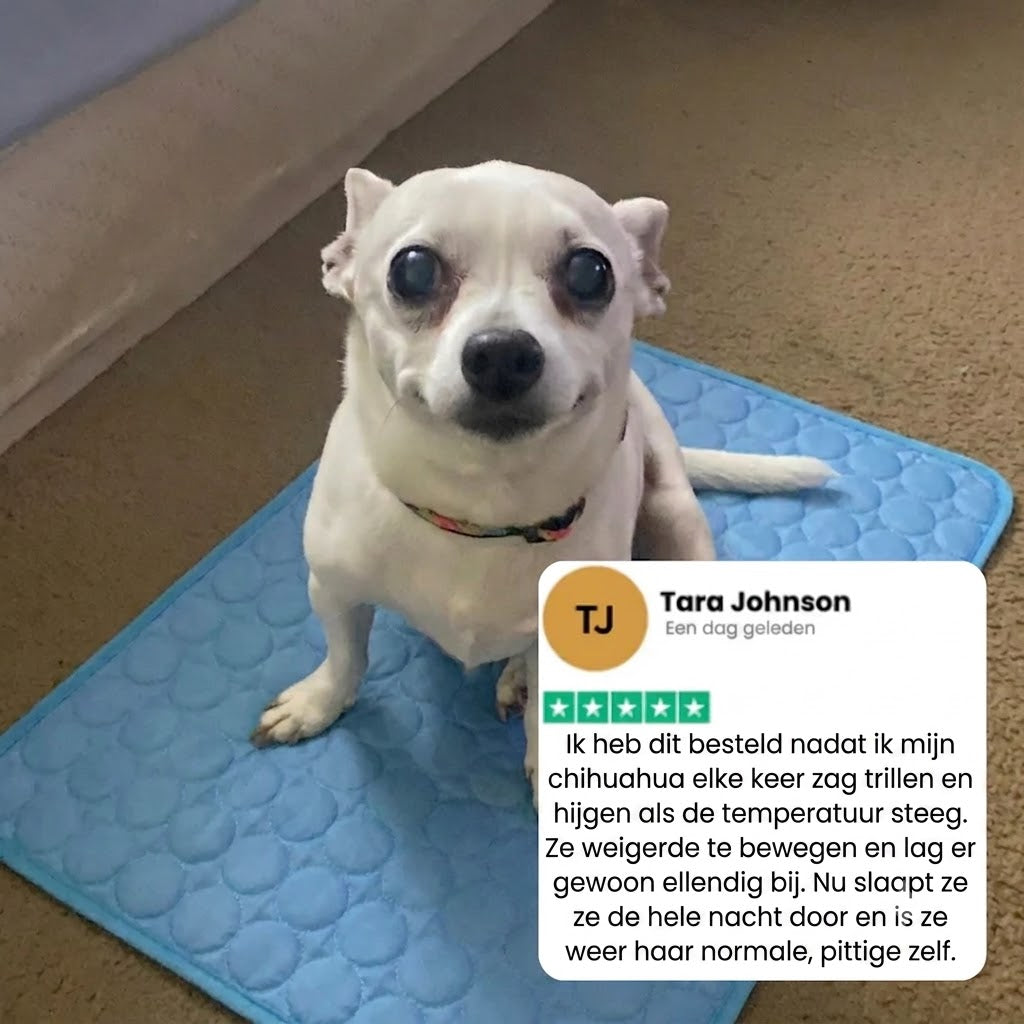 CoolBreath Mat